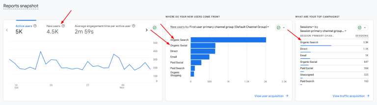 Organic Traffic Result